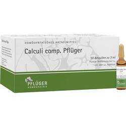 CALCULI COMP PFLUEGER